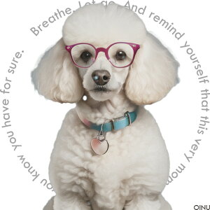 Kl v[h  n[g̃^O NbVJo[ 45×45cm Aj}   NbV{̕t ` t@