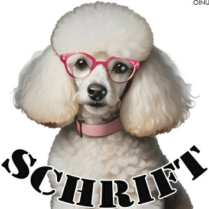 Kl v[h  IV NbVJo[ 45×45cm Aj}  NbV{̕t ` t@