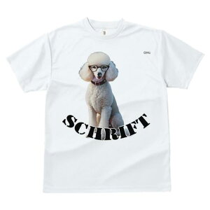 TVc Y LbY t@  t  vg JWA 킢 lԗp tBbglX _X Kl v[h  ANZT[  eLXg