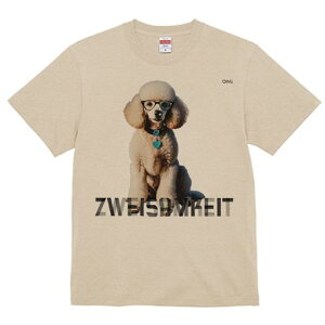 TVc Y LbY t@  t  vg JWA 킢 lԗp tBbglX _X Kl v[h n[g^̎ t@bV