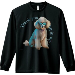 TVc lԗp Y Ht vg W[ AEghA JWA 킢 t@ Kl v[h