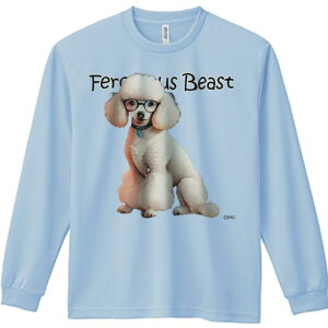 TVc lԗp Y Ht vg W[ AEghA JWA 킢 t@ Kl v[h  