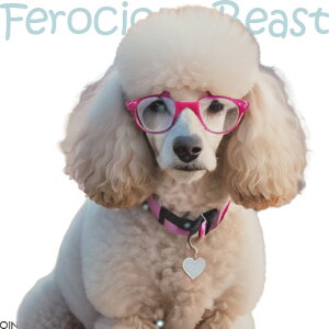 Kl v[h n[g^̃^O NbVJo[ 45×45cm Aj}   NbV{̕t ` t@