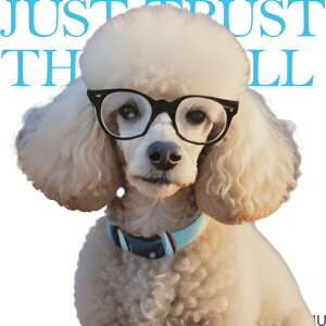 Kl v[h  NbVJo[ 45×45cm Aj}   NbV{̕t ` t@