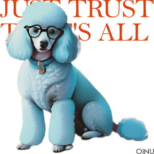 Kl v[h u[  NbVJo[ 45×45cm Aj}   NbV{̕t ` t@