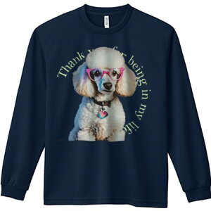 TVc lԗp Y Ht vg W[ AEghA JWA 킢 t@ Kl v[h n[g ӂ̌t ANZT[