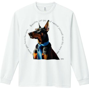 TVc lԗp Y Ht vg W[ AEghA JWA 킢 t@ lN^C h[x}  