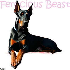 �h�[�x���}�� �N�b�V�����J�o�[ 45×45cm �A�j�}���� ������� ���� �N�b�V�����{�̕t�� �����` ���t�@��