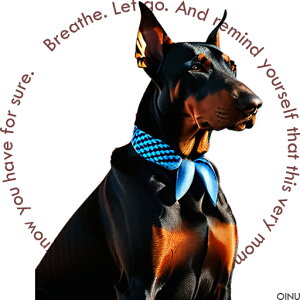 XJ[t h[x} NbVJo[ 45×45cm Aj}   NbV{̕t ` t@