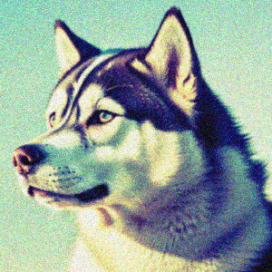  VxAnXL[ ^  tt NbVJo[ 45×45cm Aj}   NbV{̕t ` t@