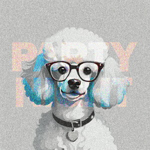 ዾ v[h p[eB[ iCg  n[g`̃^O NbVJo[ 45×45cm Aj}   NbV{̕t ` t@