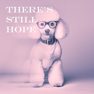 Kl v[h ] NbVJo[ 45×45cm Aj}   NbV{̕t ` t@