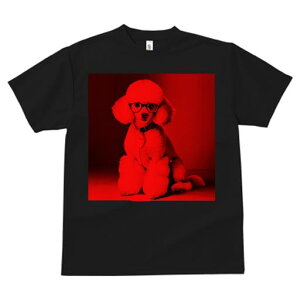 TVc Y LbY t@  t  vg JWA 킢 lԗp tBbglX _X Kl v[h  ybg t@bV