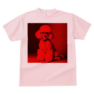 TVc Y LbY t@  t  vg JWA 킢 lԗp tBbglX _X Kl v[h  ybg t@bV