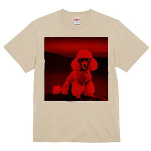 TVc Y LbY t@  t  vg JWA 킢 lԗp tBbglX _X Kl v[h jbg 