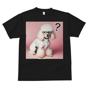 T�V���c �����Y �L�b�Y ���t�@�� ���� �t�� ���� �v�����g �J�W���A�� ���킢�� �l�ԗp �t�B�b�g�l�X �_���X ���K�l �v�[�h�� �ߑ� ����}�[�N