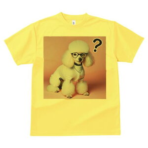 TVc Y LbY t@  t  vg JWA 킢 lԗp tBbglX _X Kl v[h ߑ }[N