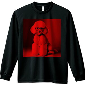 TVc lԗp Y Ht vg W[ AEghA JWA 킢 t@ Kl v[h  ybg t@bV