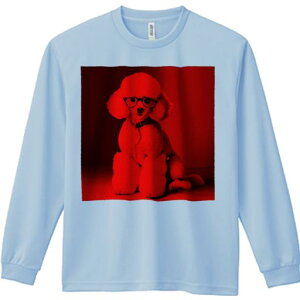 TVc lԗp Y Ht vg W[ AEghA JWA 킢 t@ Kl v[h  ybg t@bV