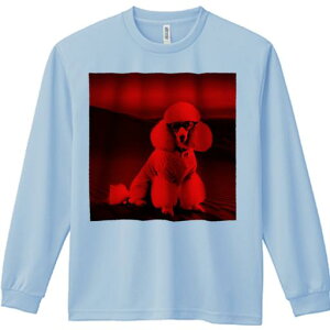 TVc lԗp Y Ht vg W[ AEghA JWA 킢 t@ Kl v[h jbg 