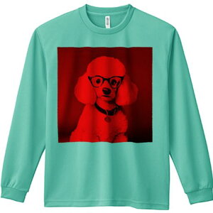 TVc lԗp Y Ht vg W[ AEghA JWA 킢 t@ Kl v[h  