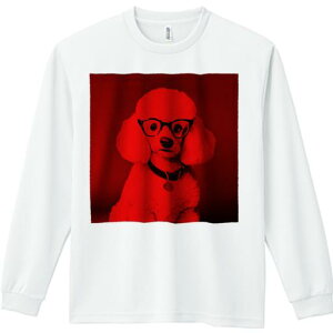 TVc lԗp Y Ht vg W[ AEghA JWA 킢 t@ Kl v[h  