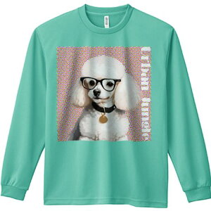 TVc lԗp Y Ht vg W[ AEghA JWA 킢 t@ Kl v[h  |bvA[g Jt 