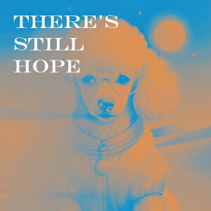 Kl v[h WPbg   NbVJo[ 45×45cm Aj}   NbV{̕t ` t@