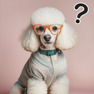 Kl v[h Z[^[ sN̔wi NbVJo[ 45×45cm Aj}   NbV{̕t ` t@