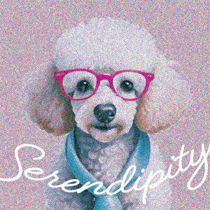 ዾ v[h lN^C ZfBseB CgsNwi NbVJo[ 45×45cm Aj}   NbV{̕t ` t@