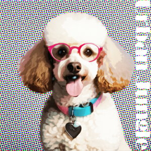 Kl v[h  n[g^̃y_g hbg A[oWO NbVJo[ 45×45cm Aj}   NbV{̕t ` t@