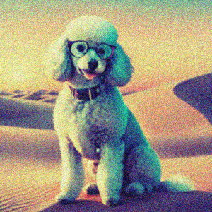  v[h Kl  NbVJo[ 45×45cm Aj}   NbV{̕t ` t@