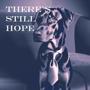 �l�N�^�C�C�\�t�@�C�X�[�c�C�r�W�l�X�}�� �h�[�x���}�� �N�b�V�����J�o�[ 45×45cm �A�j�}���� ������� ���� �N�b�V�����{�̕t�� �����` ���t�@��