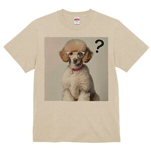 TVc Y LbY t@  t  vg JWA 킢 lԗp tBbglX _X ዾ v[h sN̎ NGX`}[N