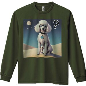 TVc lԗp Y Ht vg W[ AEghA JWA 킢 t@ Kl v[h   }[N