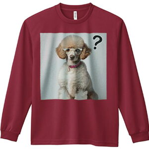 TVc lԗp Y Ht vg W[ AEghA JWA 킢 t@ ዾ v[h sN̎ NGX`}[N