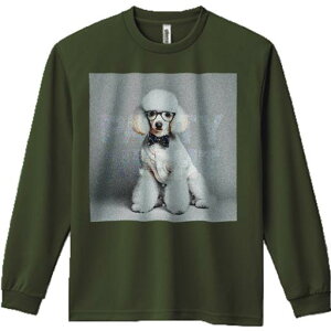 TVc lԗp Y Ht vg W[ AEghA JWA 킢 t@ Kl v[h lN^C m p[eB[