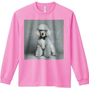 TVc lԗp Y Ht vg W[ AEghA JWA 킢 t@ Kl v[h lN^C m p[eB[