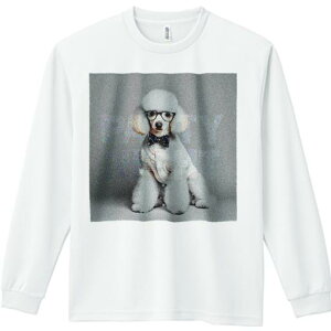 TVc lԗp Y Ht vg W[ AEghA JWA 킢 t@ Kl v[h lN^C m p[eB[