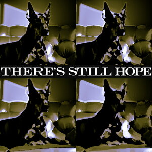 \t@ W[}VFp[h ] eLXg NbVJo[ 45×45cm Aj}   NbV{̕t ` t@