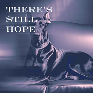 \t@ h[x} Zt NbVJo[ 45×45cm Aj}   NbV{̕t ` t@