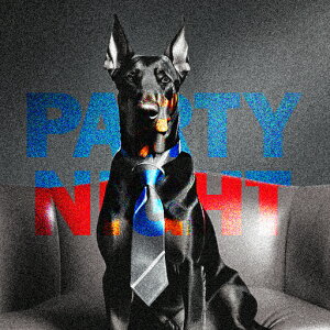 lN^C h[x} \t@ PARTY NIGHT NbVJo[ 45×45cm Aj}   NbV{̕t ` t@