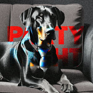 \t@ h[x} p[eB[iCg NbVJo[ 45×45cm Aj}   NbV{̕t ` t@