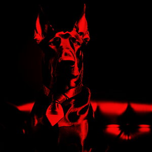 lN^C h[x} \t@ È  X^CbV NbVJo[ 45×45cm Aj}   NbV{̕t ` t@