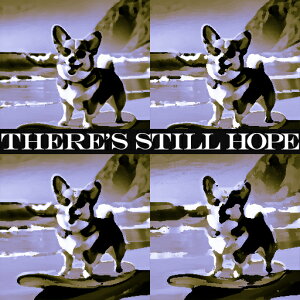 T[t{[h R[M[ C R NbVJo[ 45×45cm Aj}   NbV{̕t ` t@