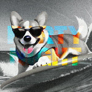 T[t{[h EFVR[M[ TOX g C p[eB[ NbVJo[ 45×45cm Aj}   NbV{̕t ` t@