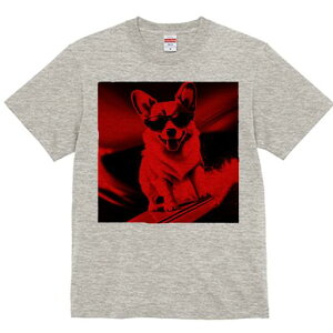 TVc Y LbY t@  t  vg JWA 킢 lԗp tBbglX _X TOX R[M[ T[tB g