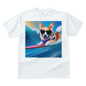 TVc Y LbY t@  t  vg JWA 킢 lԗp tBbglX _X T[tB R[M[ TOX g C