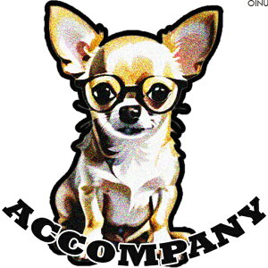 Kl `   j[N  NbVJo[ 45×45cm Aj}  NbV{̕t ` t@