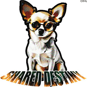 �T���O���X �`���� �e�L�X�g �N�b�V�����J�o�[ 45×45cm �A�j�}���� ������� ���� �N�b�V�����{�̕t�� �����` ���t�@��